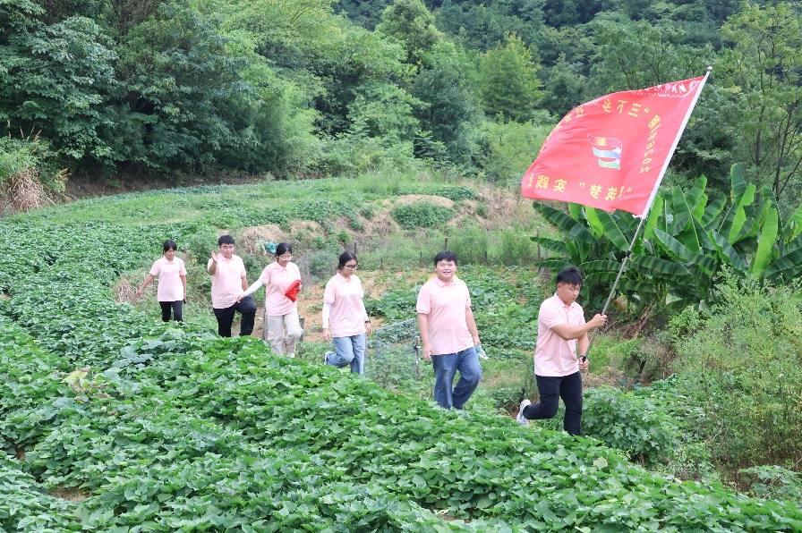 三下乡 l 衡师主队：碧草养好藏香猪，衡师青年同心助农兴